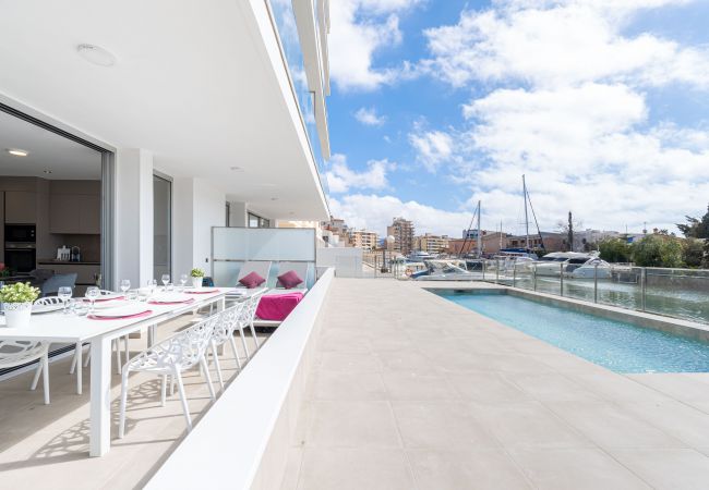Apartamento en Rosas / Roses - 2010-AV.PLATJA  Apartamento alto standing con piscina comunitaria y parking Apartamento en Rosas / Roses - 2010-AV.PLATJA  Apartamento alto standing con piscina comunitaria y parking