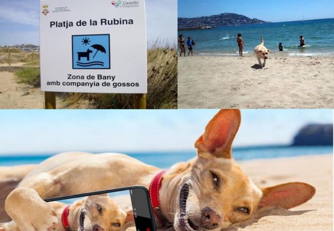 Apartament en Empuriabrava - 0148-PORT DUCAL Apartament amb terrassa, vista al mar i wifi Apartament en Empuriabrava - 0148-PORT DUCAL Apartament amb terrassa, vista al mar i wifi