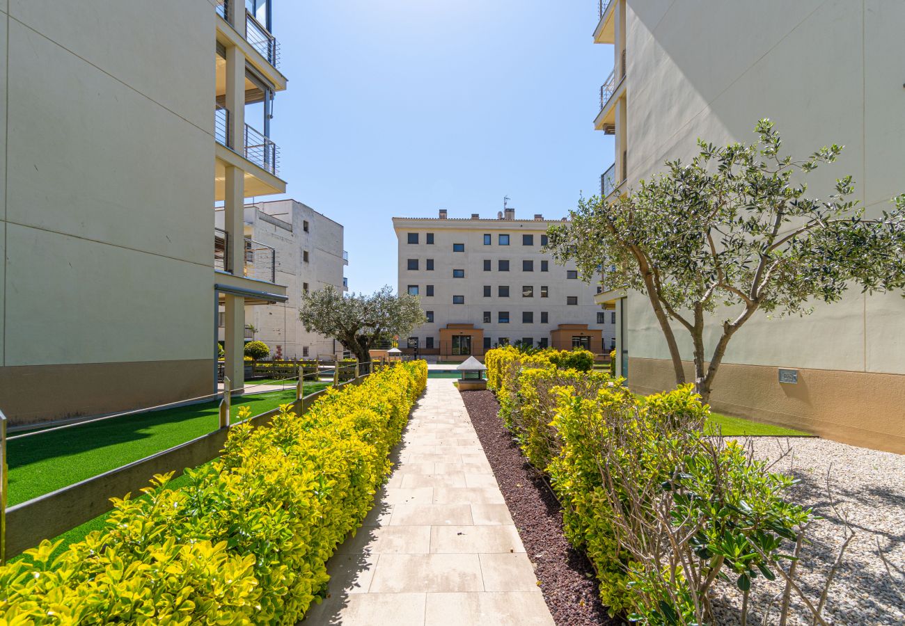 Apartament en Rosas / Roses - 8010-MIL.LENI Apartament amb piscina comunitària i pàrquing