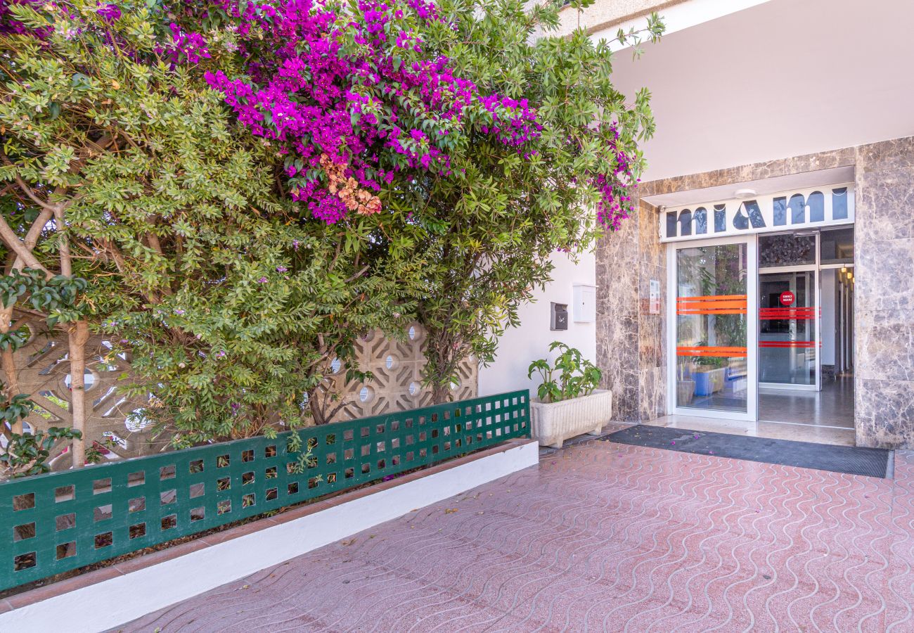 Studio à Empuriabrava - 0114-MIAMI Studio avec vue sur la mer