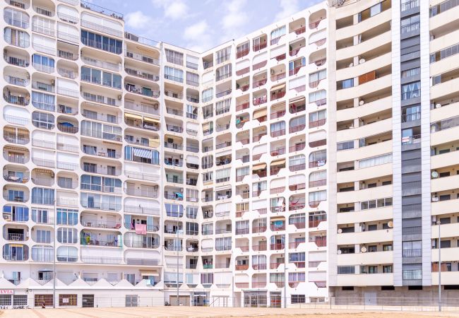 Апартаменты на Empuriabrava - 0186-SAN LUIS Апартаменты с видом на море Апартаменты на Empuriabrava - 0186-SAN LUIS Апартаменты с видом на море